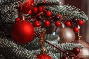 noel 2