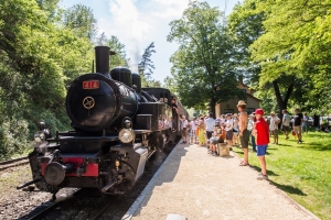 thumbnail TRAIN ARDECHE - 006 - copyright SNC Chemin de Fer du Vivarais